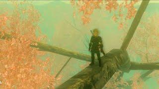 Unremarkable and odd places in Breath of the Wild