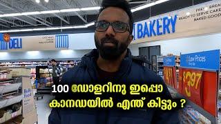 ഇപ്പോഴത്തെ അവസ്ഥയിൽ 100 ഡോളറിനു കാനഡയിൽ എന്ത് വാങ്ങാൻ കിട്ടും !! ? | Grocery shopping in Canada