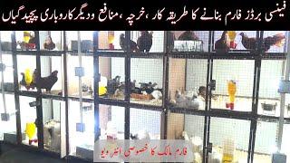 How to start fancy birds farm in Pakistan|Profitable birds farm| Protein farm| فینسی برڈ فارم بانیئے