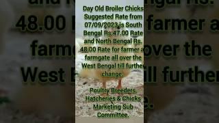 Today poultry rate in West Bengal. Today chicks rate in West Bengal. 07-09-2023 poultry rate