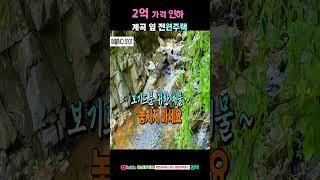 2억 가격인하 청정 계곡 옆 전원주택매매 급매물 올리모델링 행운땅집부동산