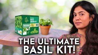 Grow Fresh Basil Effortlessly with THIS Kit!