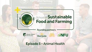 On Air at Groundswell: High animal health and welfare at the core of farm resilience