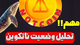 مهم در مورد نات کوین| تحلیل کامل وضعیت نات کوین NotCoin