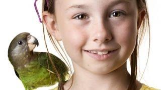 What Is the Best Pet Bird for a Child? | Pet Bird