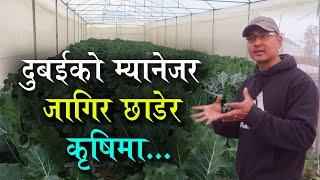 लाखौंको जागिर छाडेर कृषिमा भविष्य खोज्दै डिग्री होल्डर युवा | Sujan Shrestha