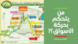 من يتحكم بحركة أسواق المال | نظرية دورة الحالة النفسية للسوق