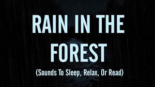 SOUNDS OF RAIN, OWLS &  HOWLING WINDS (Sleep, Relax, Or Read)