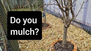 How to use mulch in two simple and effective ways