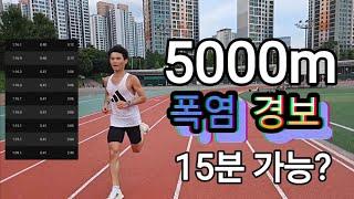 5000m 15분, 가을 JTBC마라톤 우승/폭염경보에서 훈련하기/착지개선의 효과보기/더워 죽을뻔했다