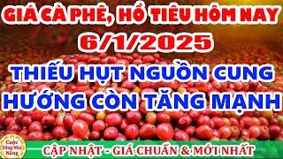 Giá cà phê hôm nay ngày 6/1/2025 | giá cà phê HƯỚNG CÒN TĂNG MẠNH