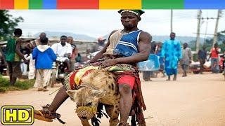 [Nat Geo Wild] The Mysterious Animal Gangs Of Nigeria  - Hyena Men - Animals Documentary Nature