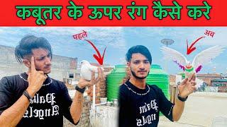 Kabutar Ke Uper Rang Kese Kare  || how to color pigeon