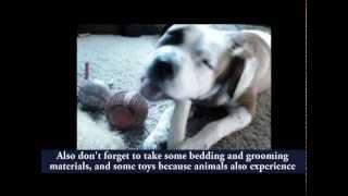 Animal Emergency Preparedness