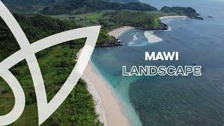 Explore the Scenic Landscape of Arya Lombok Mawi Before the Exciting Transformation