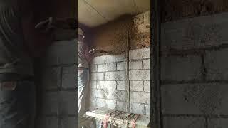 Wall plastering