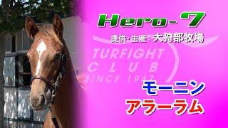 Hero7(牝当歳  *モーニン x アラーラム)の2024年当歳馬募集先行公開動画＜放牧風景/8月末～9月上旬撮影＞