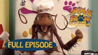 Animal Show | Wild Horse  / Volcano Rabbit  | Jim Henson Family Hub