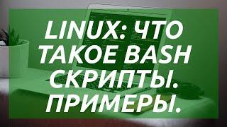 Linux: что такое BASH скрипты. Примеры.