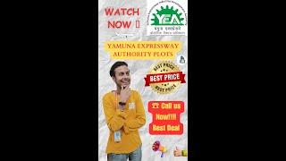 Unbeatable Price Alert!  YAMUNA EXPRESSWAY AUTHORITY PLOTS⎮ SECTOR 20⎮YEIDA CITY⎮YEIDA FILMCITY 