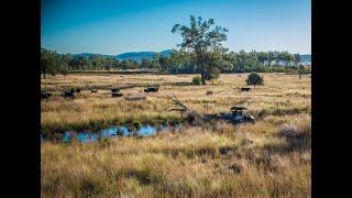 For Sale | Whittons Aggregation, Bonshaw NSW