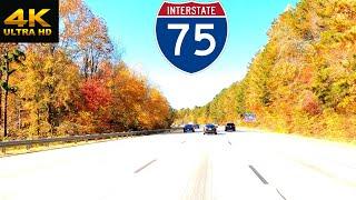 A Relaxing 4K Fall Drive