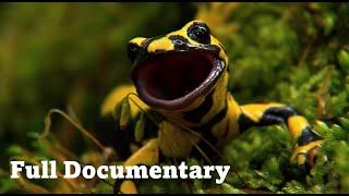 Rivers and Lakes | Wild Germany | Free Documentary