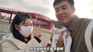 回村的诱惑之，带着女朋友一起遛猫，没想到9斤大猫刚出门就？ #日常vlog #猫咪 #我的乡村生活 #农村生活 #女朋友