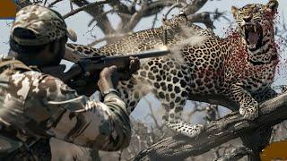 How Do South Africa's Most Famous Hunting Group Deal With Thousands Of Leopards