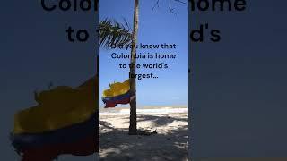 Did you know this about Colombia? Comment below #travel #traveling #vacation #colombia #shorts