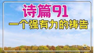 #祷告 163【诗篇 91 - 安住在祂里面 】经济 - 情感 --家庭各方面的恢复 l  默想 l 激励你的蒙福祷告l 晨祷 l 每日祷告 l 恩典之路