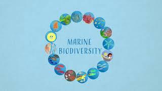 The marine biodiversity