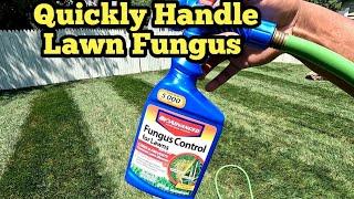 How To Treat Lawn Fungus In Any Grass Type With Bioadvanced Fungus Control For Lawns