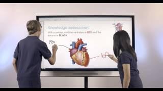 SMART Board 6065 interactive flat panel