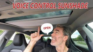 Model 3/Y Electric Sunshade from TesStudio with Voice Control!