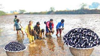 Water Chestnuts Harvesting | Sanghara Recipe | Part 2 | Water Chestnut Cooking Method | Hamza Sidhu