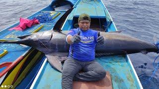 Bantu Kawan saya yang kewalahan menaikan Black Marlin 260kg || Sambaran Big Tuna