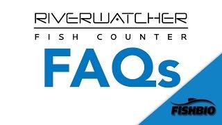 FAQs | Introduction