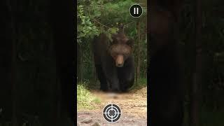 Animal Shooting: Jungle Hunter | Android Gameplay | New Animals