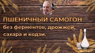 Пшеничный самогон без ферментов, дрожжей, сахара, кодзи.