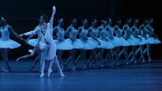 Tchaikovsky ballets at the Bolshoi | Swan Lake • Sleeping Beauty • Nutcracker (DVD/Blu-ray boxset)