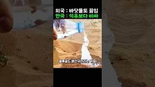 물 전쟁 시대에 한국이 수출하는 블루골드, 석유보다 비싸진 레전드