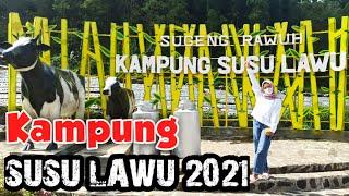 Kampung susu lawu 2021 || Wisata Baru Magetan