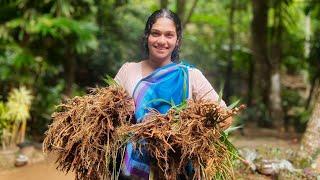 Harvesting Ginger 🫚 Making delicious traditional dishes & drinks