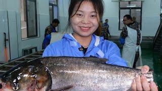 Hubei beauties have been selling fish for 15 years. They don't want fish bodies  fish tails and fis