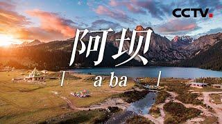 四川阿坝篇：美极了！连绵起伏的山川、纵横交错的江河、珍稀多样的动植物在这片川西高原的热土上演绎壮美的自然风光 |《中国影像方志》第812集 CCTV科教