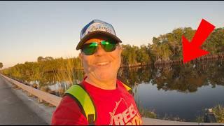 Everglades Catching Saltwater Fish In Roadside Canals (Fishing Brackish Water)