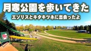 月寒公園を歩いてきた　Tsukisamu Park