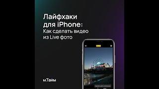 Как сделать видео из Live Photo?