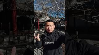 慈禧180亿修复的颐和园，看她年轻时的画像美不美？ 还是囚禁皇帝的监狱！#北京 #颐和园 #文化旅游